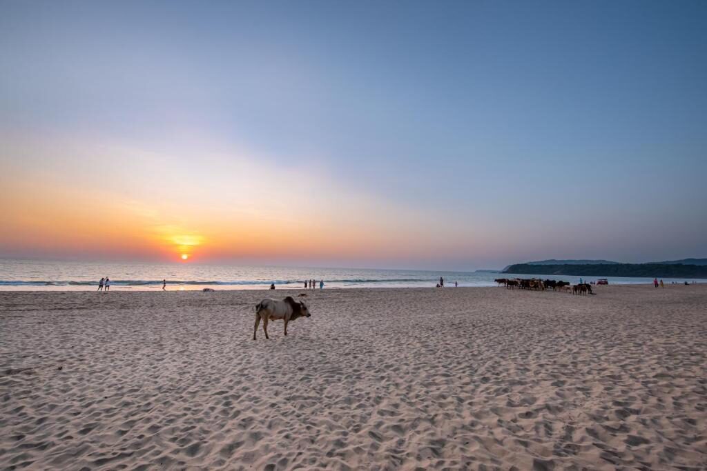 Yoga Retreat am Meer, Agonda, Goa, Indien